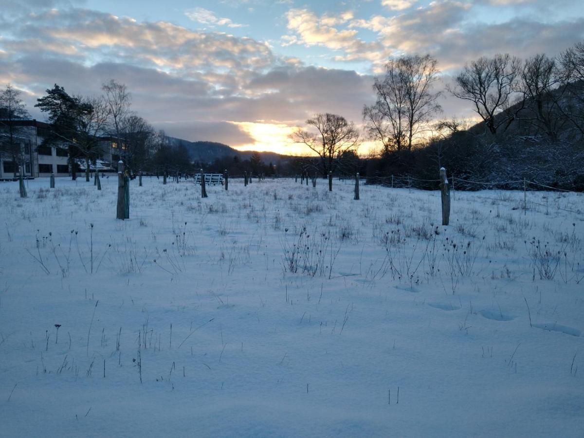Hinterland